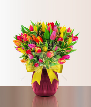26-twoje-ulubione-tulipanki
